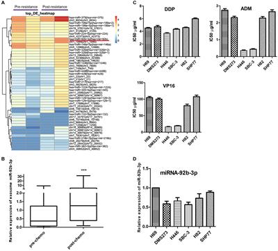 Exosomal miR-92b-3p Promotes Chemoresistance of Small Cell Lung Cancer Through the PTEN/AKT Pathway